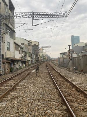 青年路在哪個區，這條路上又藏著哪些城市的記憶與變遷